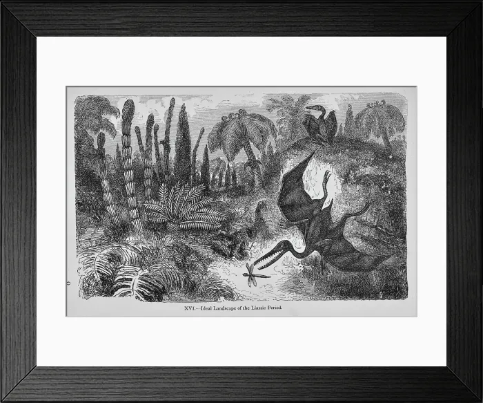Framed Print : Ideal landscape of the Liassic Period Framed Print : Ideal landscape of the Liassic Period