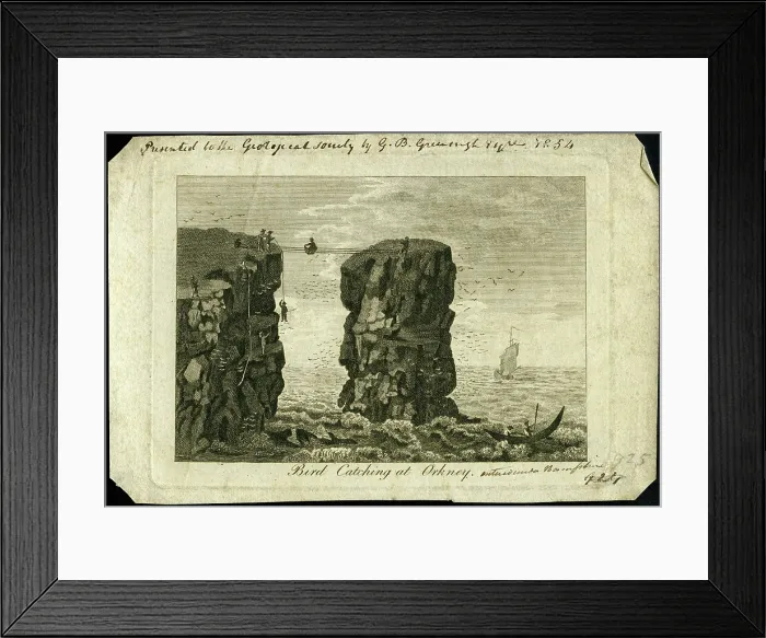 Framed Print : Bird catching at Orkney Framed Print : Bird catching at Orkney