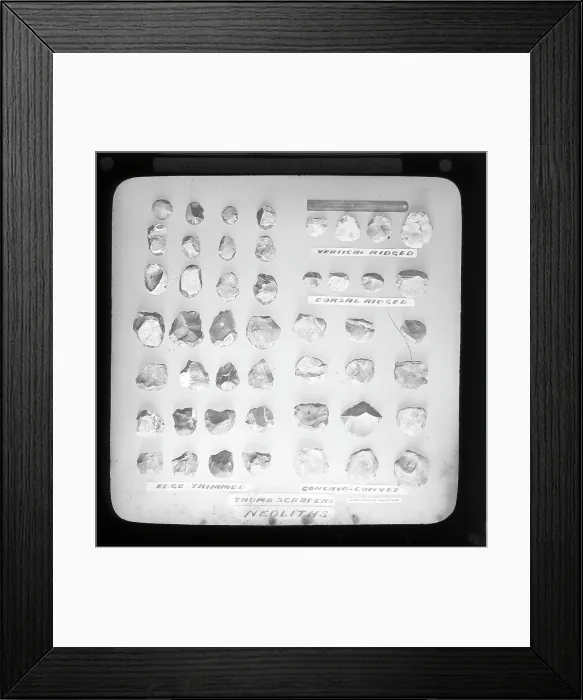 Framed Print : Neolithic thumb scrapers Framed Print : Neolithic thumb scrapers