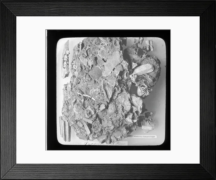 Framed Print : Dordogne Cave Floor Framed Print : Dordogne Cave Floor