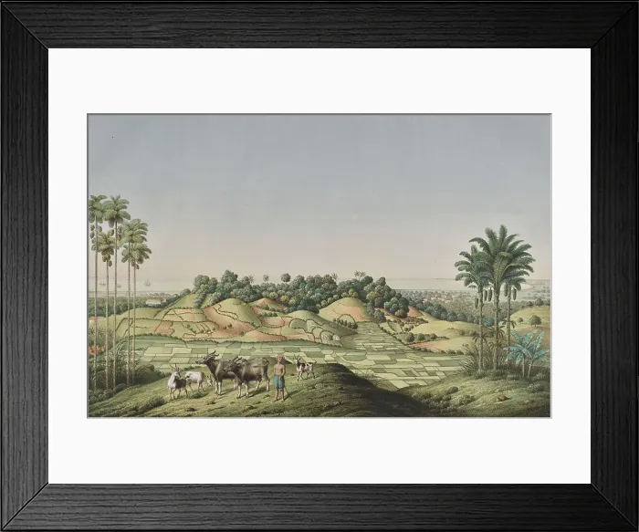 Framed Print : North coast of Java, Indonesia