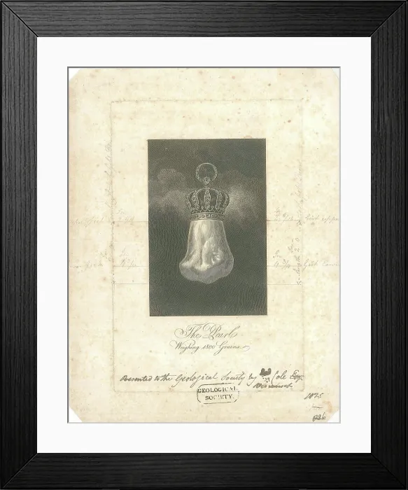Framed Print : The Hope Pearl Framed Print : The Hope Pearl