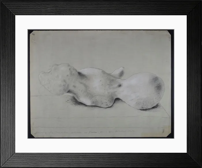 Framed Print : Human fossil Framed Print : Human fossil