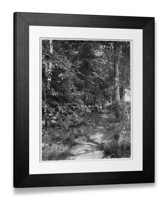 Framed Print : Photograph of Down House, home of Charles Darwin Framed Print : Photograph of Down House, home of Charles Darwin