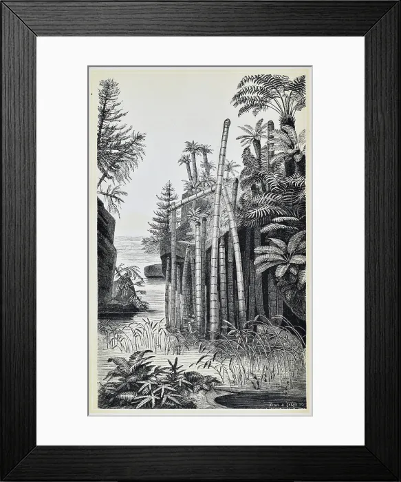 Framed Print : Basle during the Keuper Period (Middle to Upper Triassic) Framed Print : Basle during the Keuper Period (Middle to Upper Triassic)