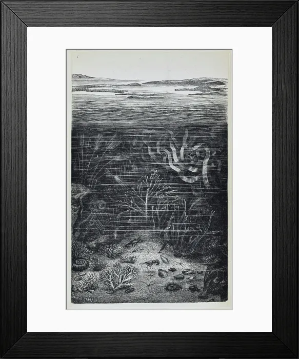 Framed Print : Submarine life of the Schambelen (Lower Jurassic) Framed Print : Submarine life of the Schambelen (Lower Jurassic)