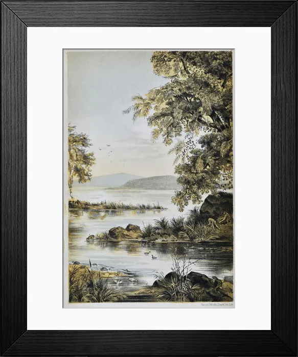 Framed Print : Life in the Miocene Period, Oeningen near Constance Framed Print : Life in the Miocene Period, Oeningen near Constance