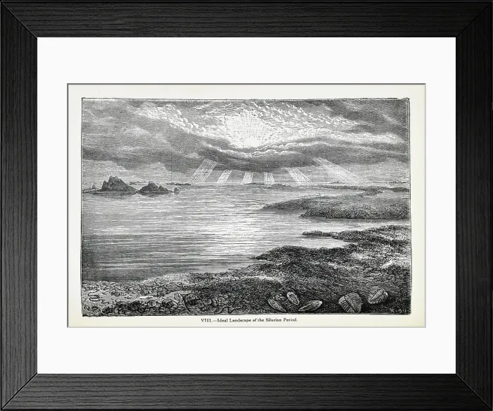 Framed Print : Ideal landscape of the Silurian Period Framed Print : Ideal landscape of the Silurian Period