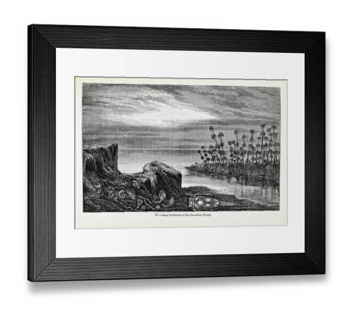 Framed Print : Ideal landscape of the Devonian Period Framed Print : Ideal landscape of the Devonian Period