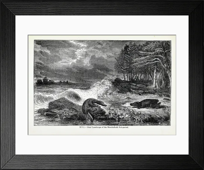 Framed Print : Ideal landscape of the Muschelkalk Sub-period Framed Print : Ideal landscape of the Muschelkalk Sub-period