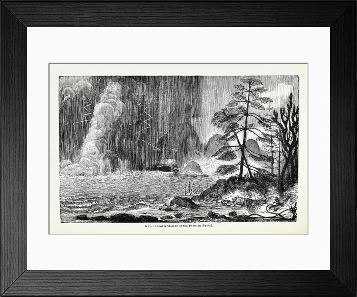 Framed Print : Ideal landscape of the Permian Period Framed Print : Ideal landscape of the Permian Period