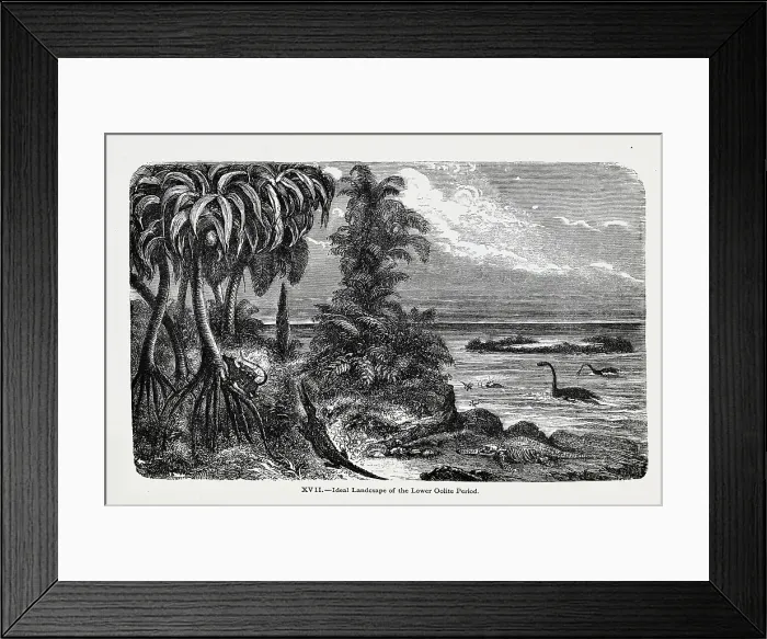 Framed Print : Ideal landscape of the Lower Oolite Period Framed Print : Ideal landscape of the Lower Oolite Period