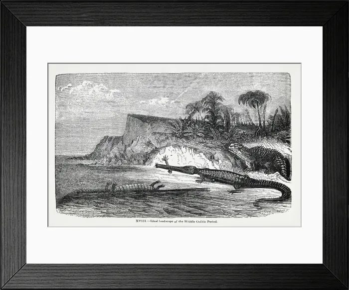 Framed Print : Ideal landscape of the Middle Oolitic Period Framed Print : Ideal landscape of the Middle Oolitic Period