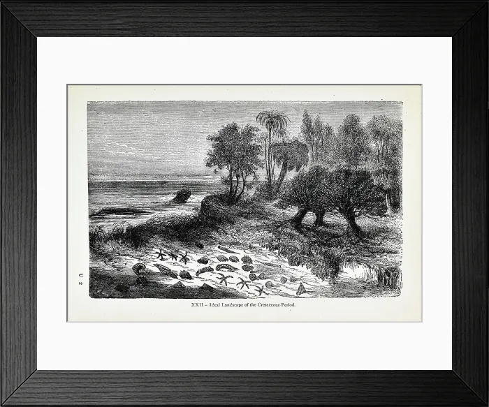 Framed Print : Ideal landscape of the Cretaceous Period Framed Print : Ideal landscape of the Cretaceous Period