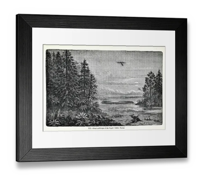 Framed Print : Ideal landscape of the Upper Oolitic Period Framed Print : Ideal landscape of the Upper Oolitic Period