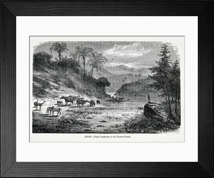 Framed Print : Ideal landscape of the Eocene Period Framed Print : Ideal landscape of the Eocene Period