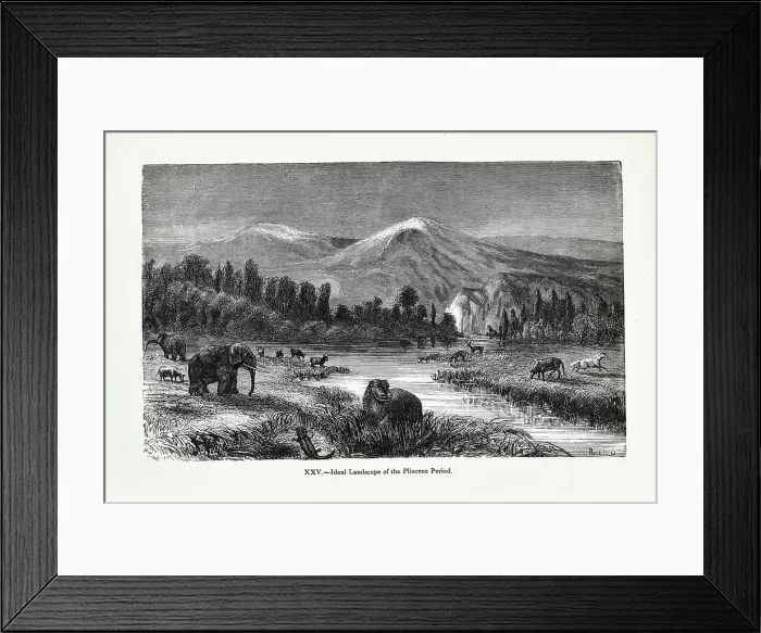 Framed Print : Ideal landscape of the Pliocene Period Framed Print : Ideal landscape of the Pliocene Period