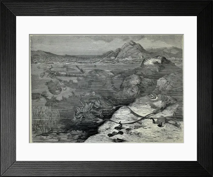 Framed Print : Kuchelbad near Prague during the Upper Silurian Framed Print : Kuchelbad near Prague during the Upper Silurian