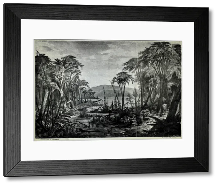 Framed Print : Environs of Radnitz during the Coal Formation