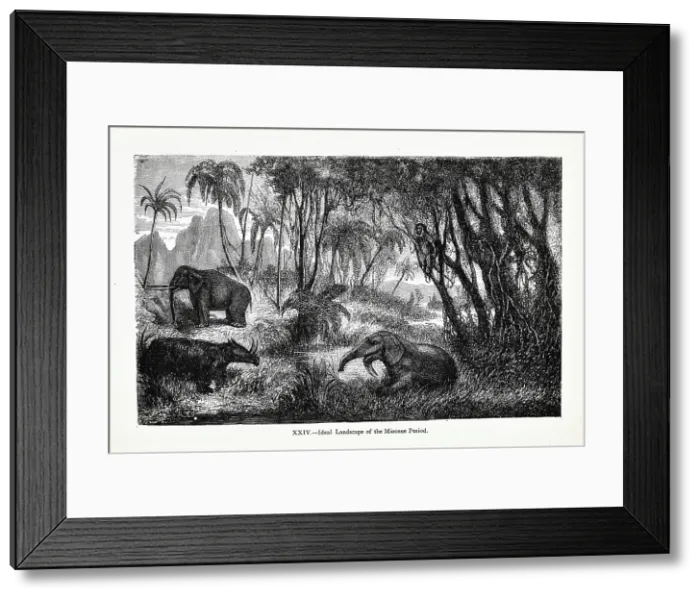 Framed Print : Ideal landscape of the Miocene Period Framed Print : Ideal landscape of the Miocene Period