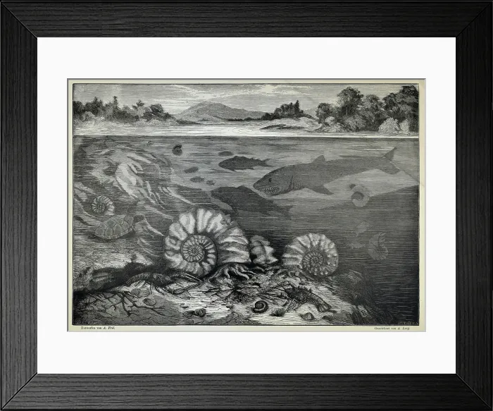 Framed Print : The White Mountain (Bila hora) during the Cretaceous Framed Print : The White Mountain (Bila hora) during the Cretaceous
