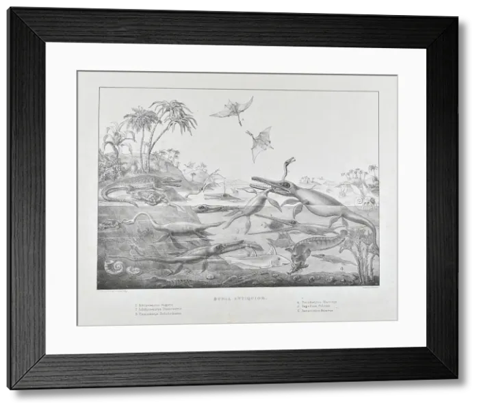 Framed Print : Duria Antiquior Framed Print : Duria Antiquior