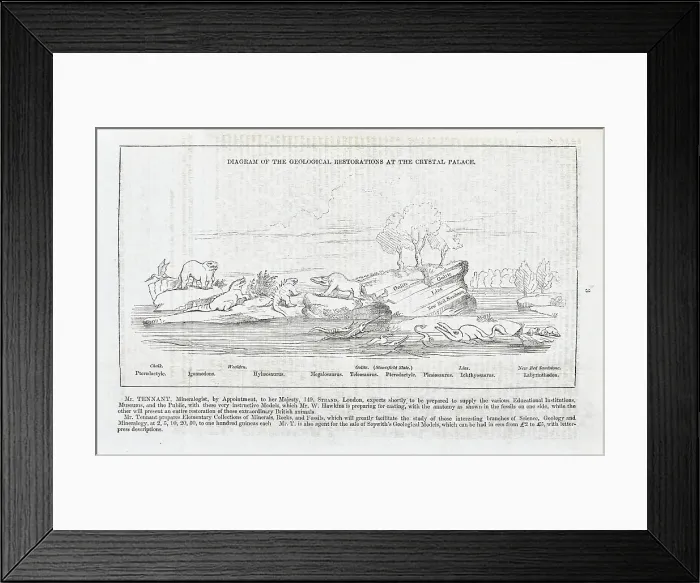 Framed Print : Diagram of the geological restorations at Crystal Palace Framed Print : Diagram of the geological restorations at Crystal Palace
