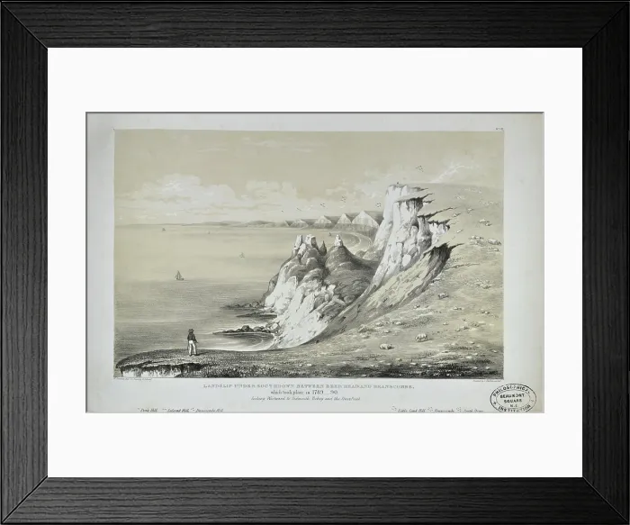 Framed Print : Landslip Under Southdown between Beer Head and Branscombe
