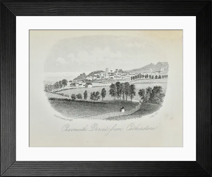 Framed Print : Charmouth, Dorset from Catherstone Framed Print : Charmouth, Dorset from Catherstone