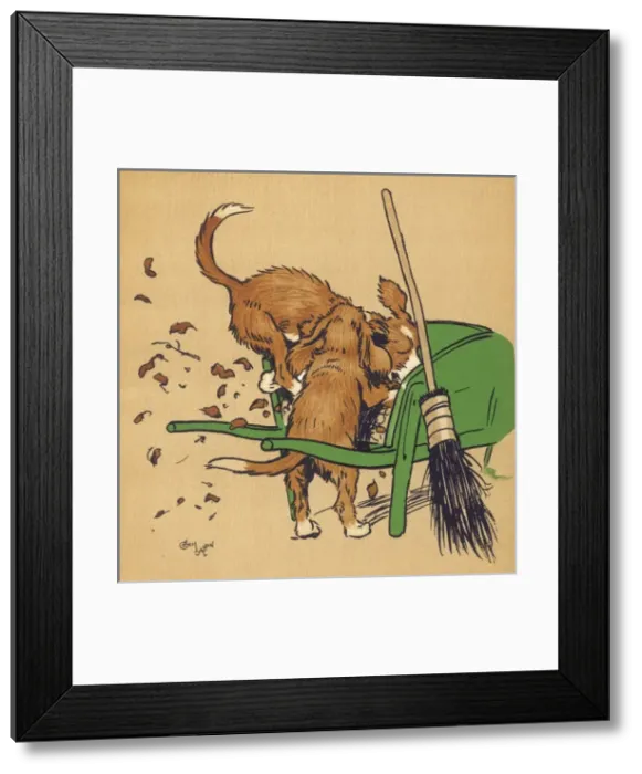 Framed Print : Twin puppies fighting over a bone Framed Print : Twin puppies fighting over a bone