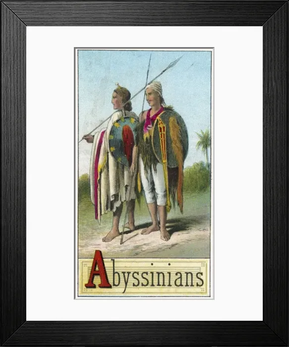 Framed Print : Abyssinian couple Framed Print : Abyssinian couple