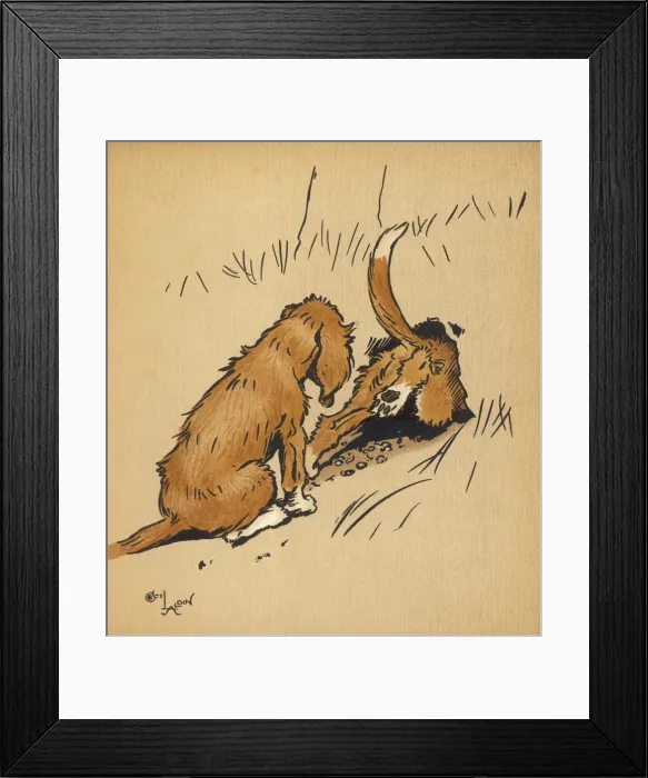 Framed Print : Twin puppies follow rabbit into burrow Framed Print : Twin puppies follow rabbit into burrow