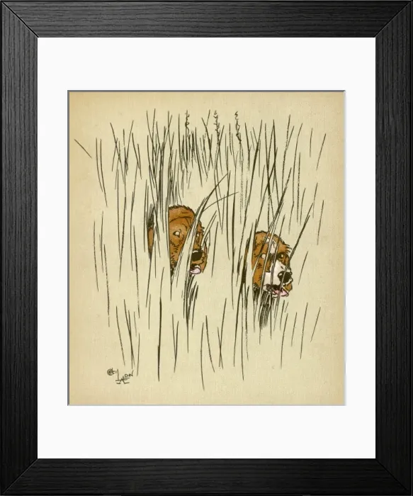 Framed Print : Twin puppies lost in undergrowth Framed Print : Twin puppies lost in undergrowth