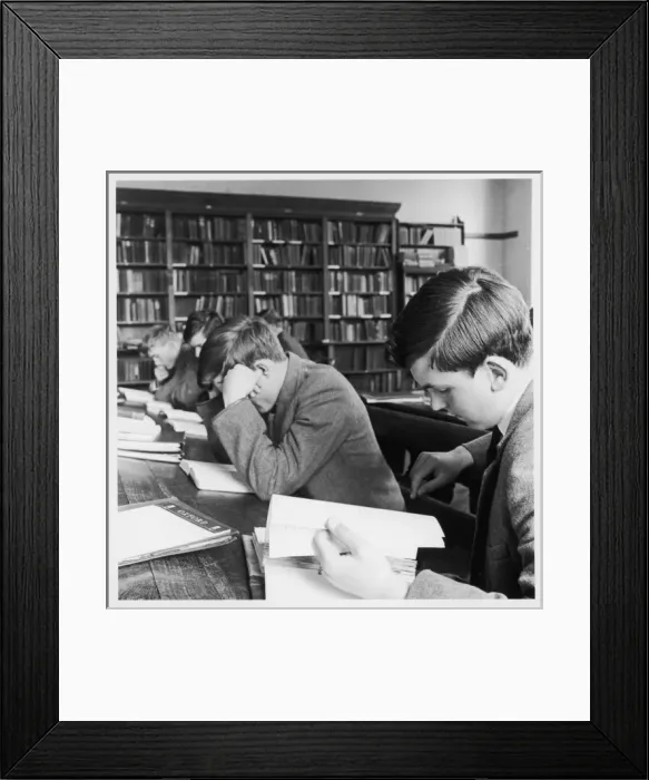 Framed Print : Schoolboys studying in school library Framed Print : Schoolboys studying in school library