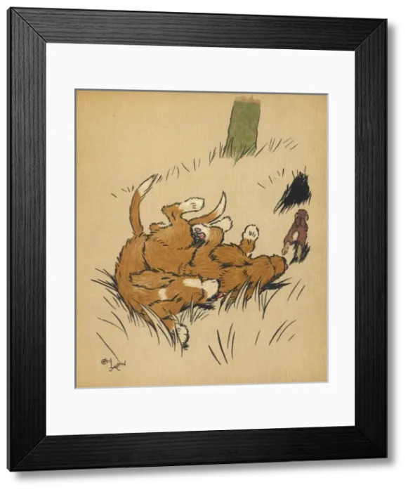 Framed Print : Twin puppies fall over Framed Print : Twin puppies fall over