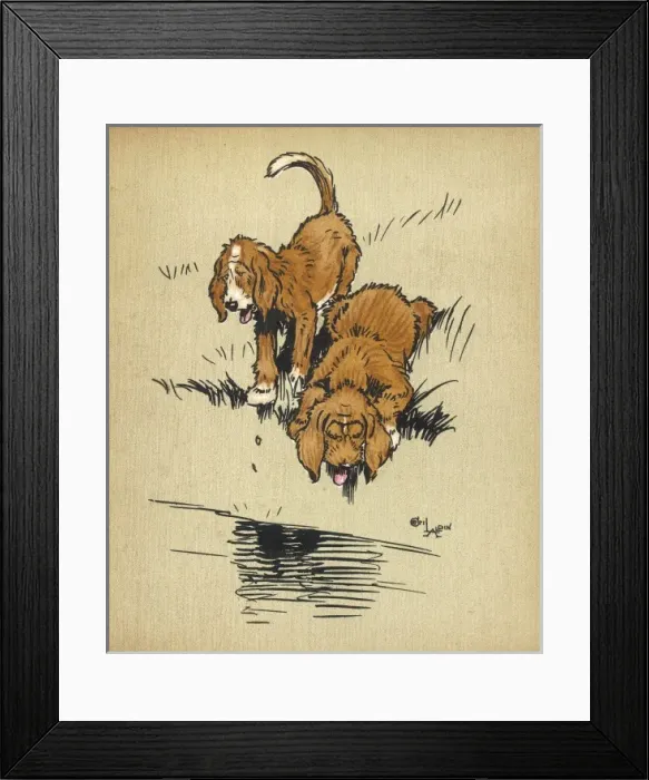Framed Print : Twin puppies and water Framed Print : Twin puppies and water