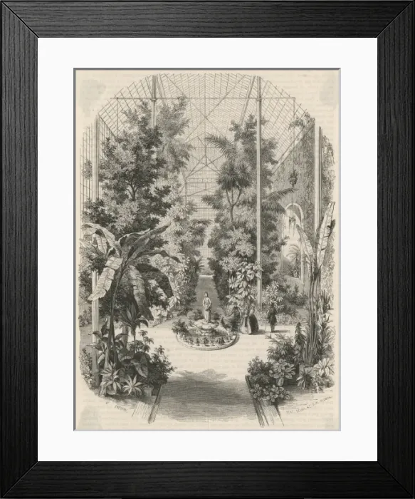 Framed Print : Jardin des Plantes, Paris Framed Print : Jardin des Plantes, Paris