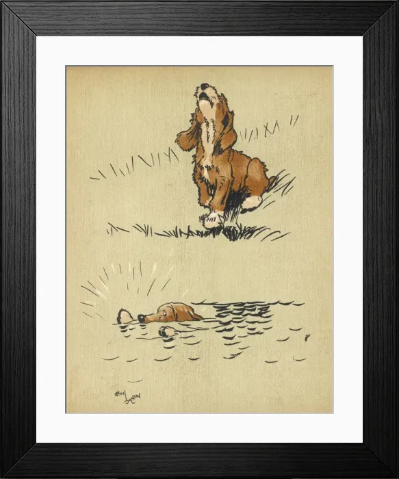 Framed Print : Twin puppy falls into water
