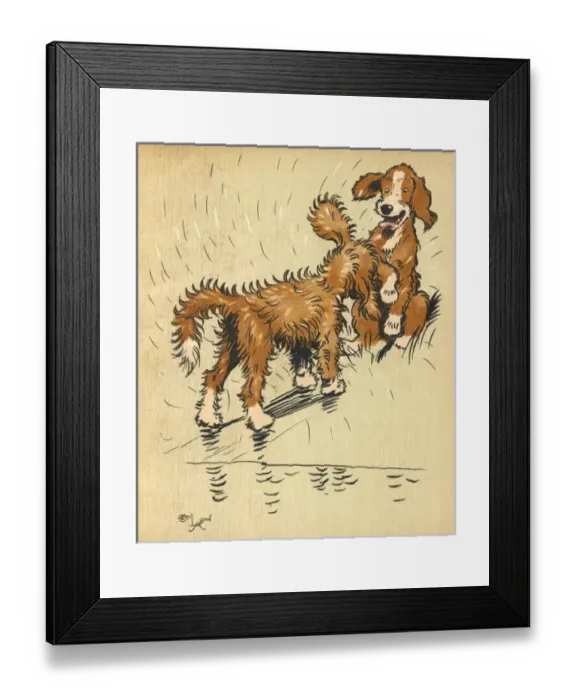 Framed Print : Twin puppy shaking off water Framed Print : Twin puppy shaking off water