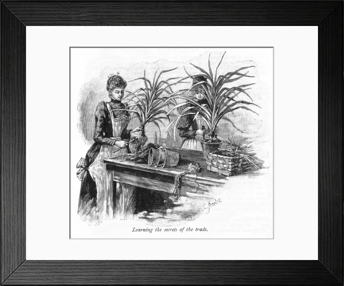 Framed Print : Two women potting plants Framed Print : Two women potting plants