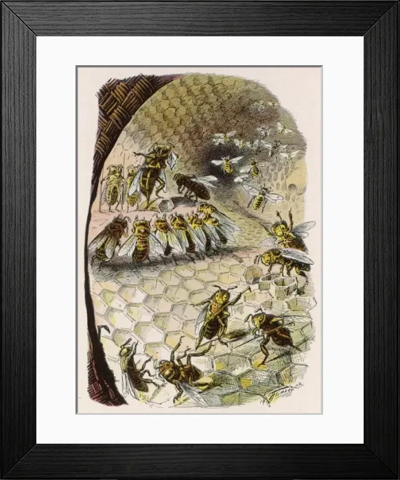 Framed Print : Beehive Scene 1902 Framed Print : Beehive Scene 1902