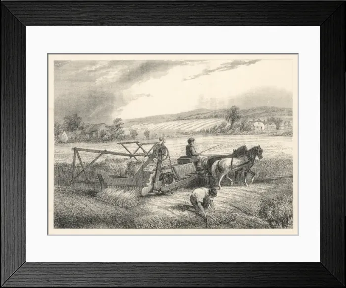 Framed Print : Reaping with McCormick Framed Print : Reaping with McCormick