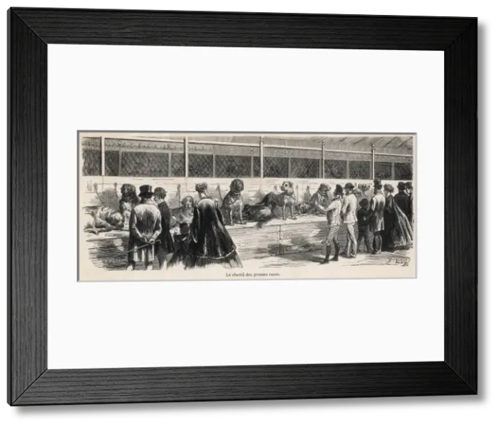 Framed Print : Paris Dog Show Framed Print : Paris Dog Show