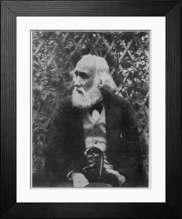 Framed Print : DEGAS (1834-1917) Framed Print : DEGAS (1834-1917)