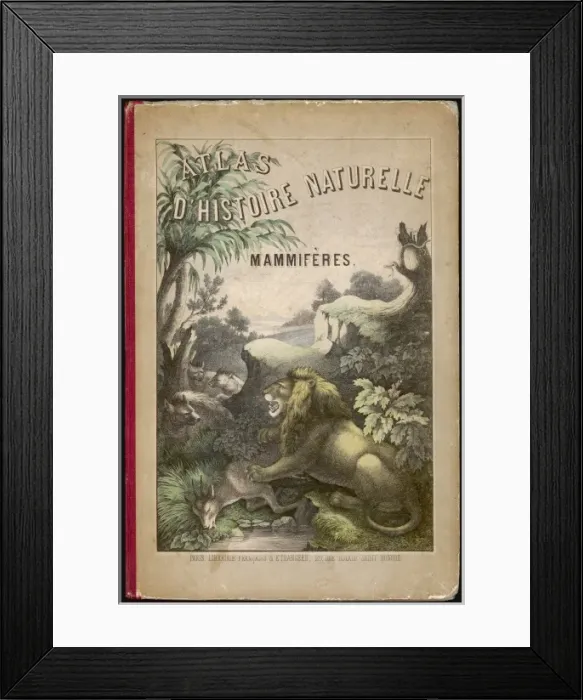Framed Print : Animal Atlas Front Cover