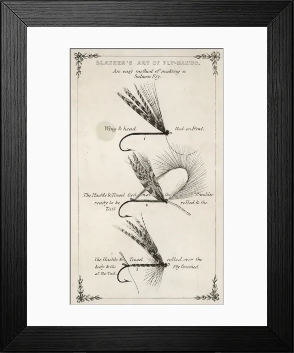 Framed Print : Salmon Flies Framed Print : Salmon Flies