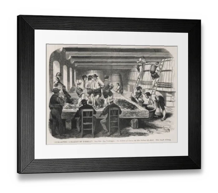 Framed Print : Treading the Grapes Framed Print : Treading the Grapes