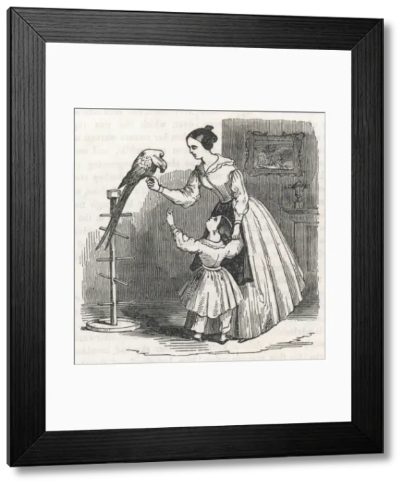 Framed Print : Mother, Child, Parrot Framed Print : Mother, Child, Parrot