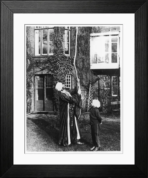 Framed Print : Entertainment / Tricks Framed Print : Entertainment / Tricks