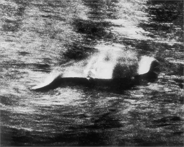Photograph of the Loch Ness Monster